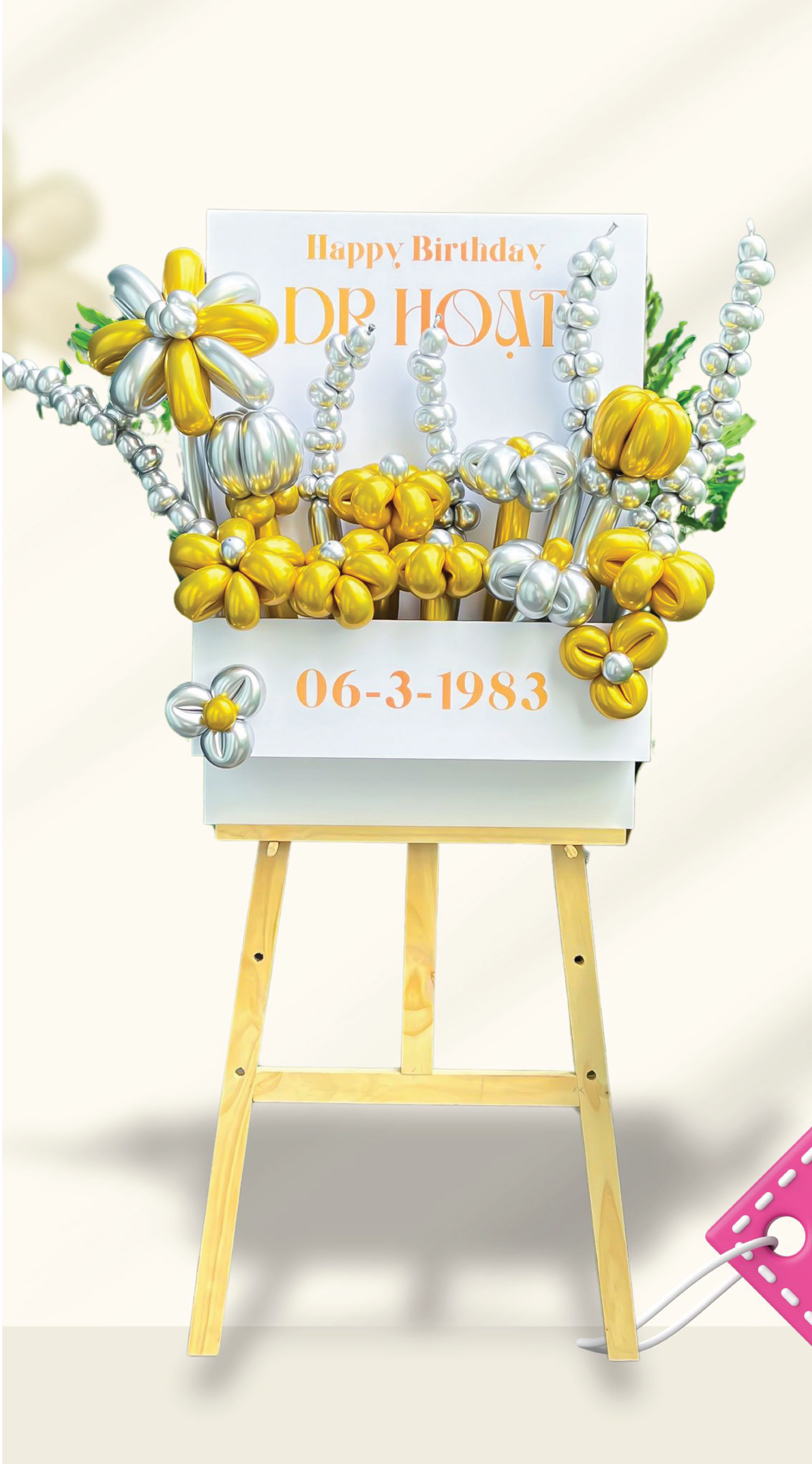 ẢNH BẢNG BÓNG TẠO HÌNH-12